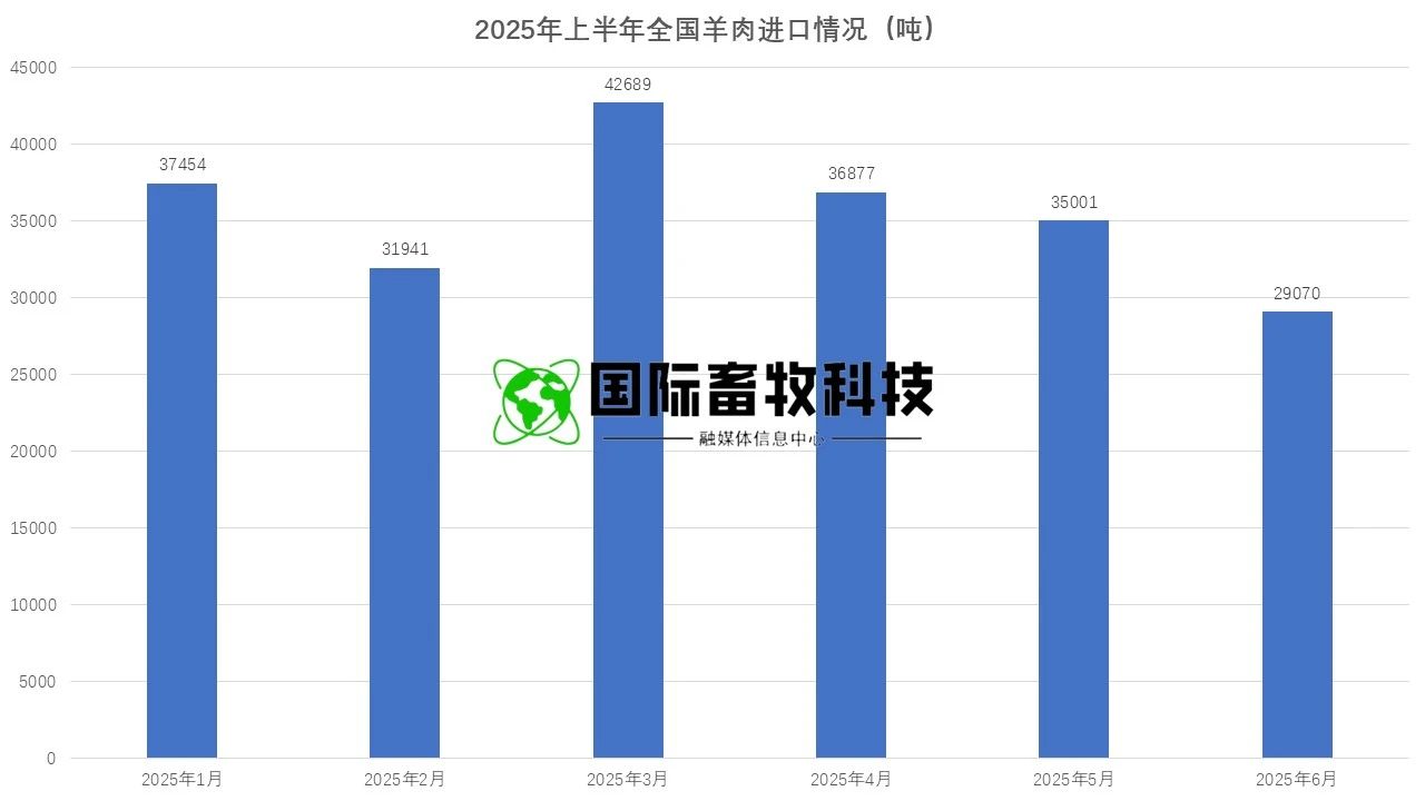 20250722145464146414 w66.ÀûÀ´(ÖйúÇø)_À´Àû¹ú¼ÊÆì½¢Ìü